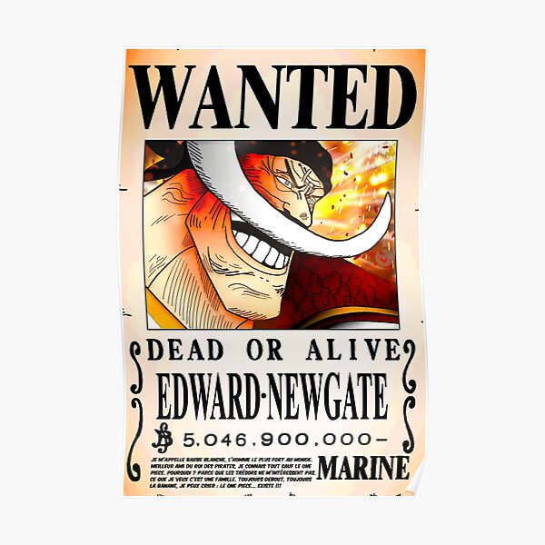 Detail One Piece Wanted Poster Hd Nomer 45