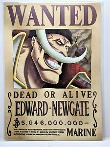 Detail One Piece Wanted Poster Hd Nomer 54