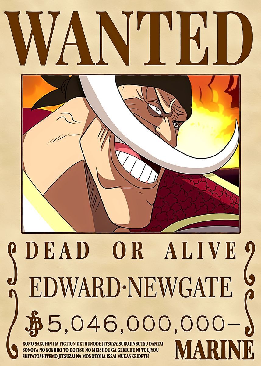 Detail One Piece Wanted Poster Hd Nomer 8