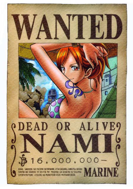 Detail One Piece Wanted Poster Wallpaper Hd Nomer 27