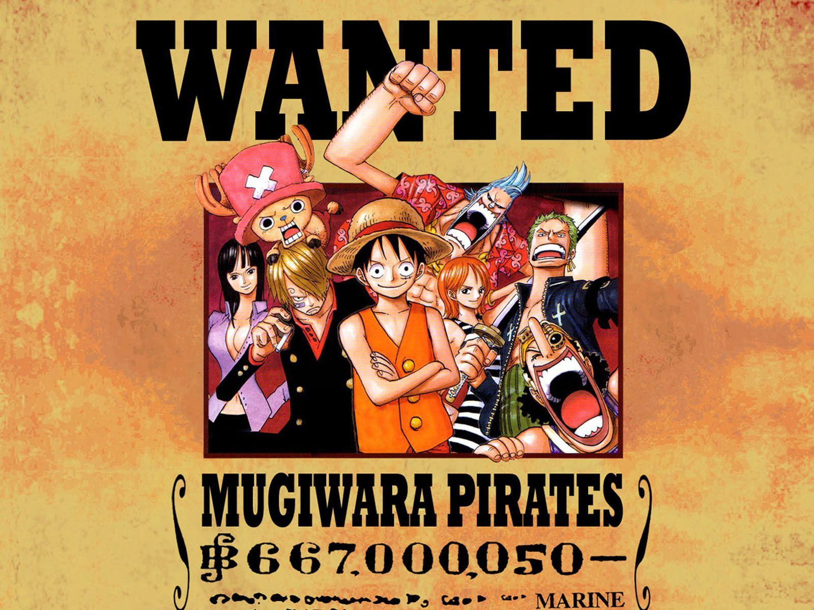 Detail One Piece Wanted Poster Wallpaper Hd Nomer 39