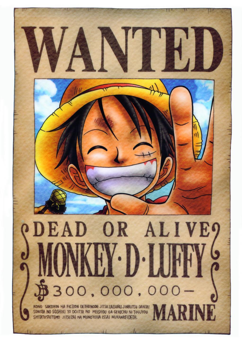 Detail One Piece Wanted Poster Wallpaper Hd Nomer 8