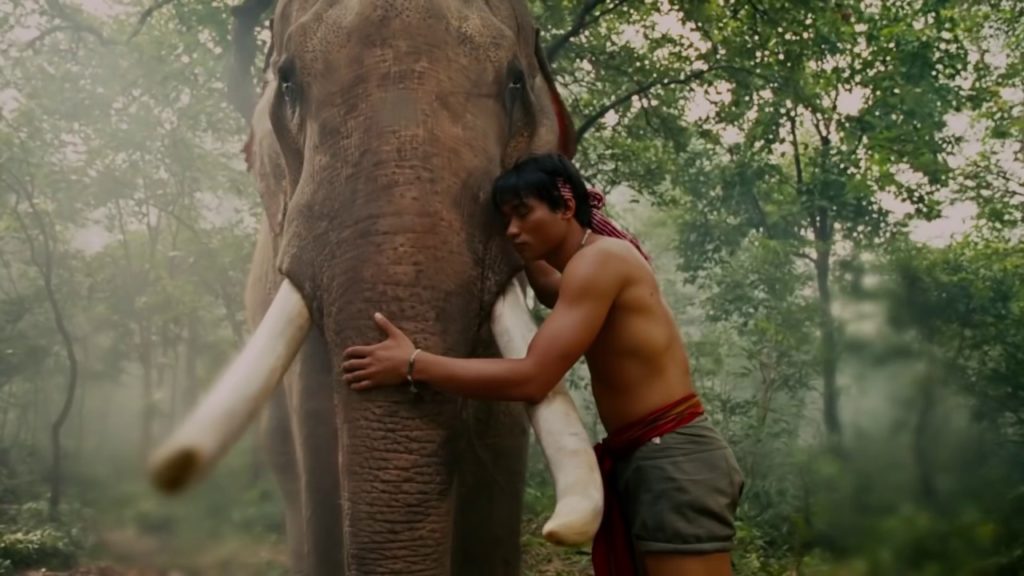 Detail Ong Bak Gajah Nomer 2