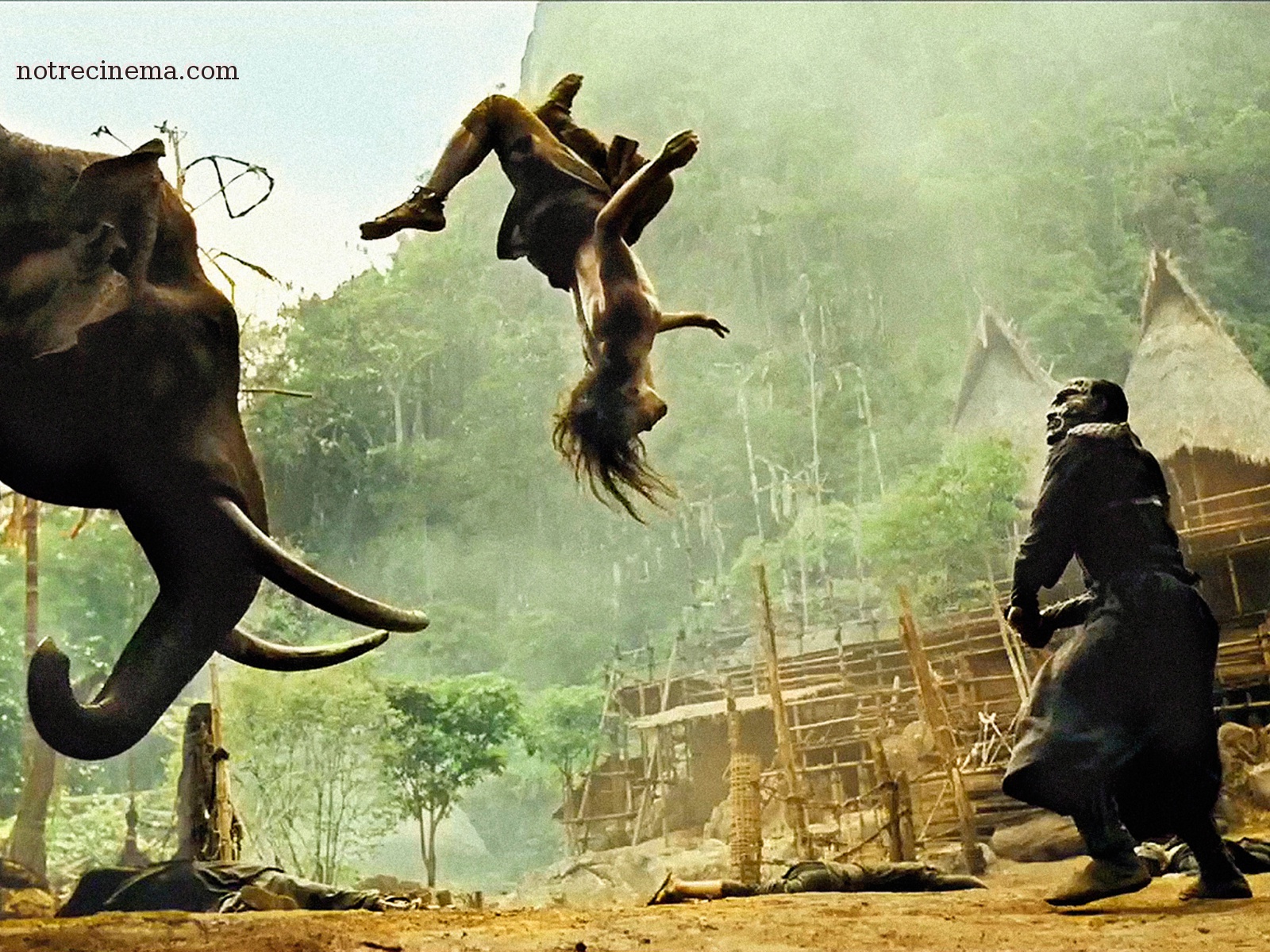 Detail Ong Bak Gajah Nomer 42