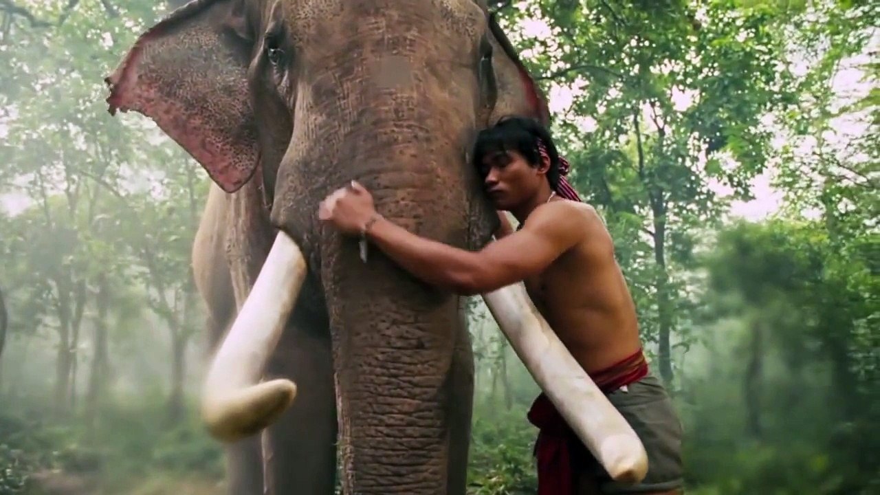 Detail Ong Bak Gajah Nomer 49