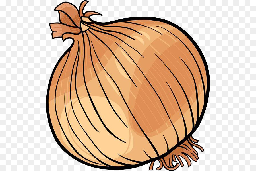 Detail Onion Cartoon Png Nomer 10