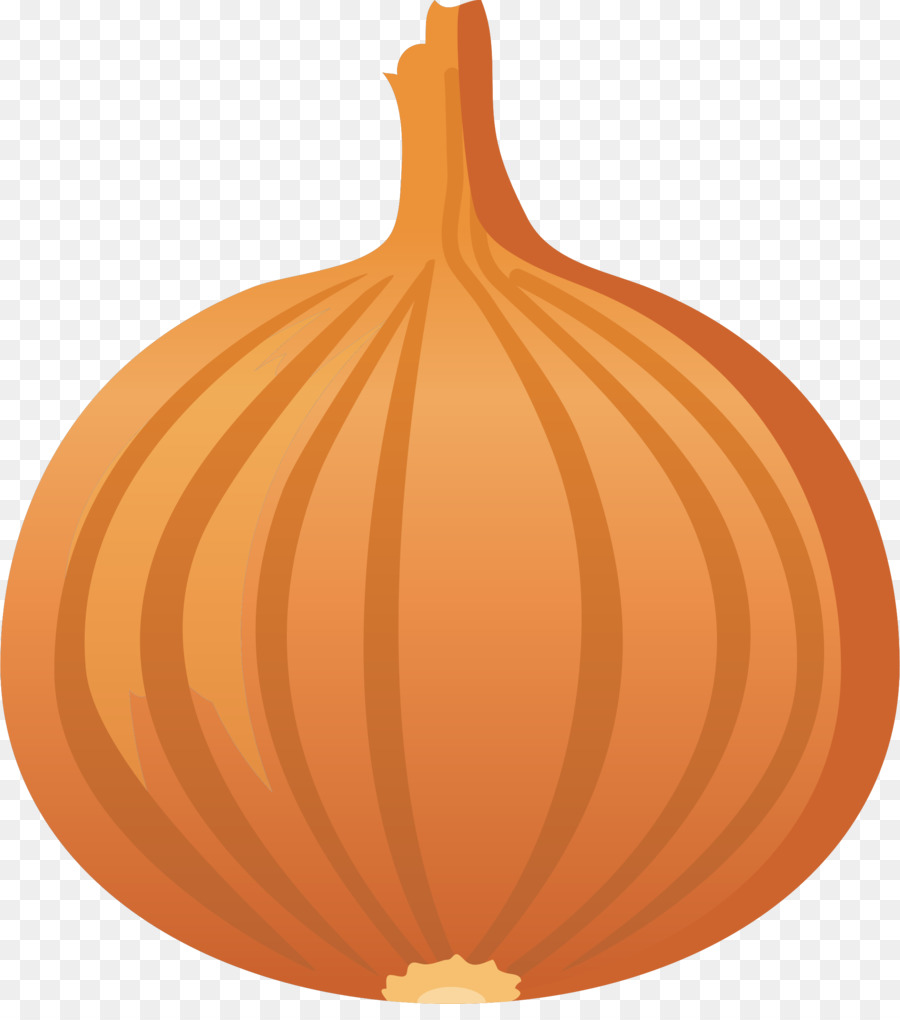 Detail Onion Cartoon Png Nomer 12