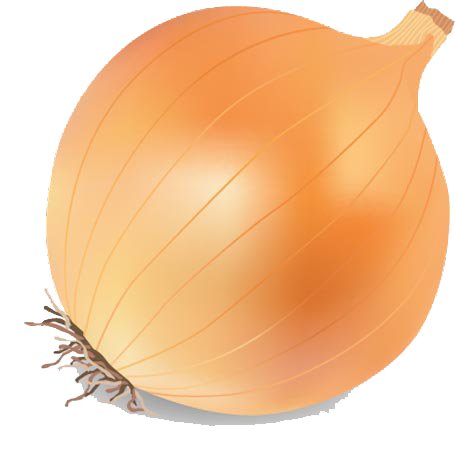 Detail Onion Cartoon Png Nomer 16