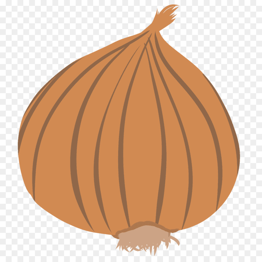 Detail Onion Cartoon Png Nomer 17