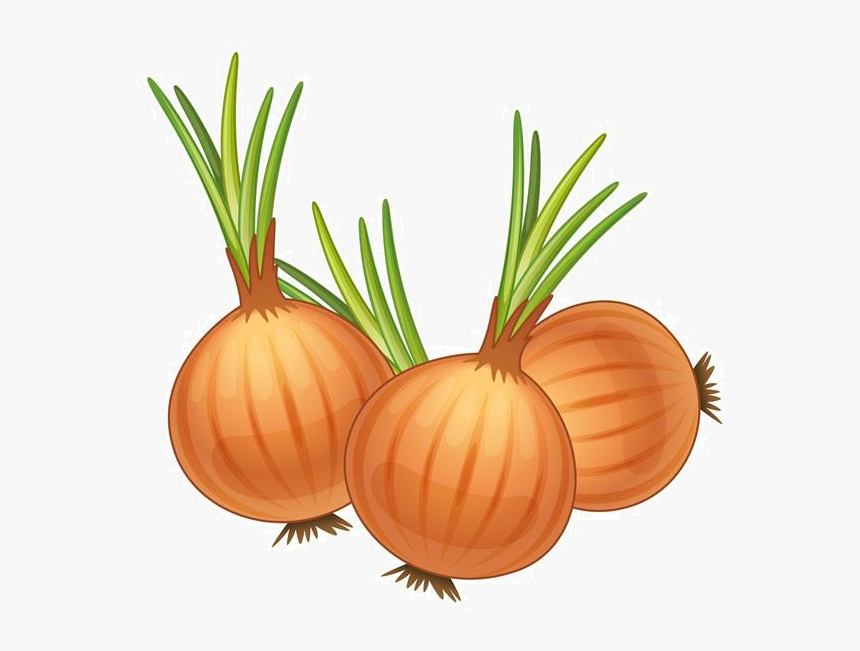 Detail Onion Cartoon Png Nomer 2