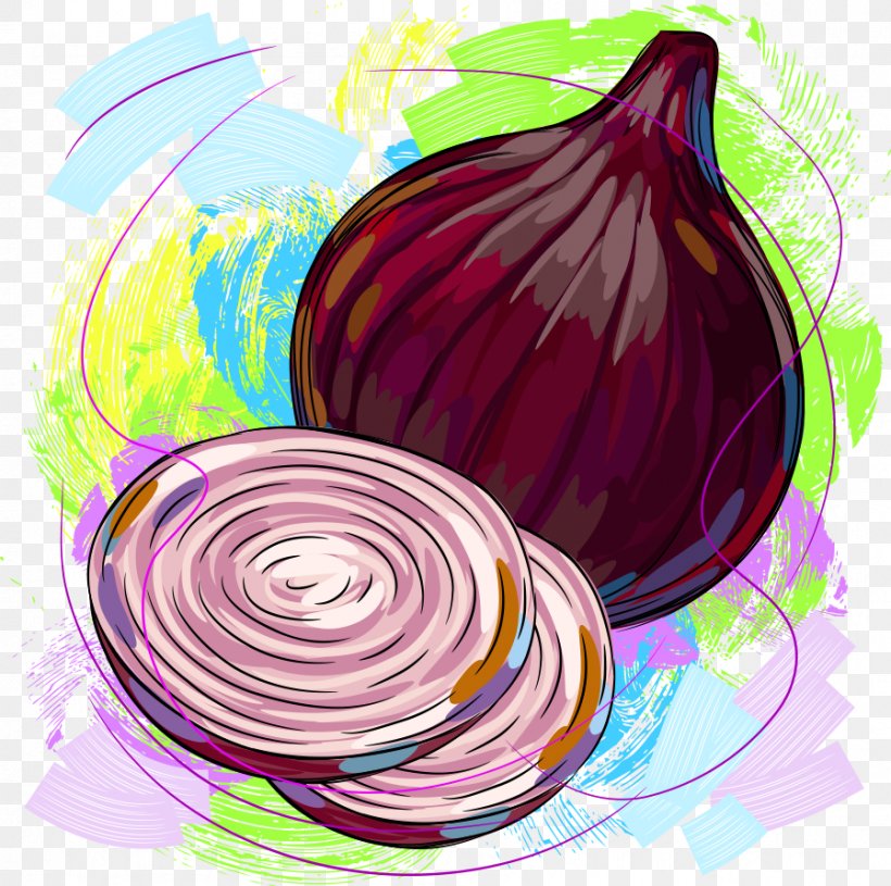 Detail Onion Cartoon Png Nomer 34