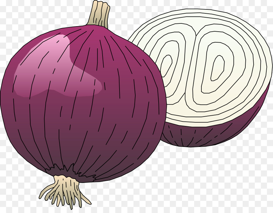 Detail Onion Cartoon Png Nomer 42