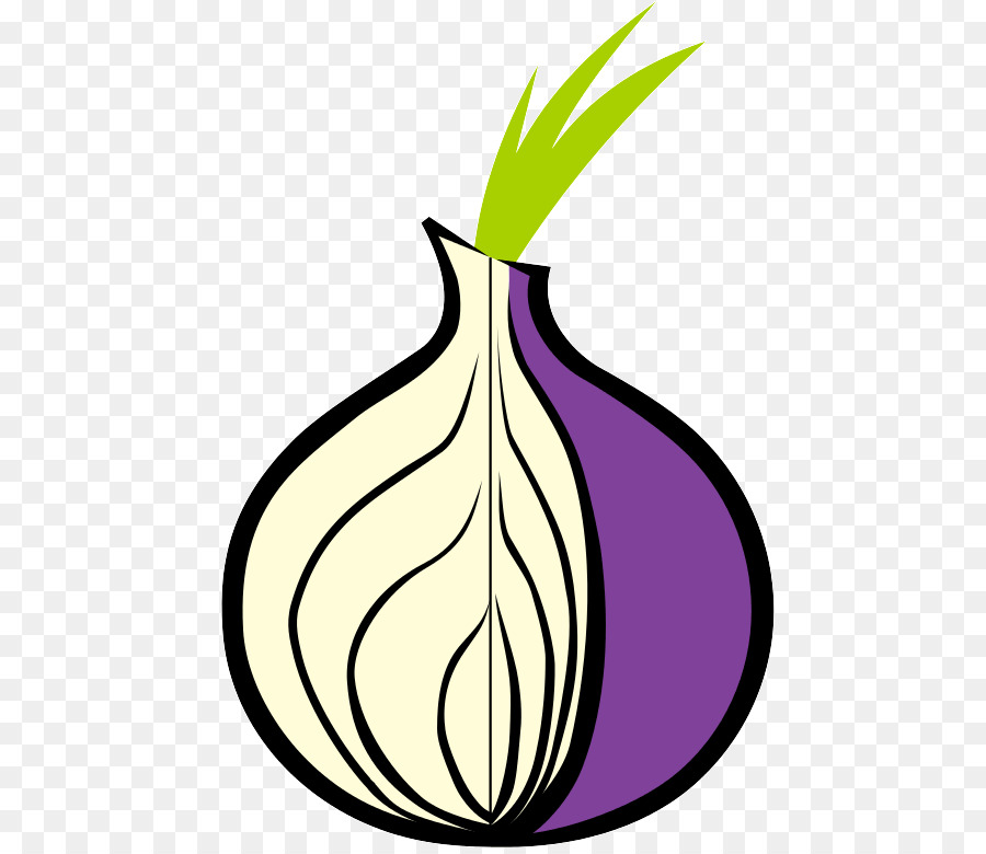 Detail Onion Cartoon Png Nomer 47