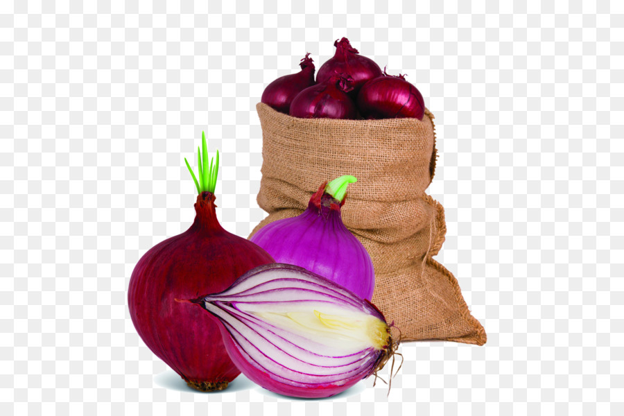 Detail Onion Cartoon Png Nomer 55