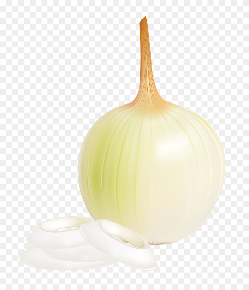 Detail Onion Cartoon Png Nomer 57