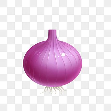 Detail Onion Cartoon Png Nomer 9