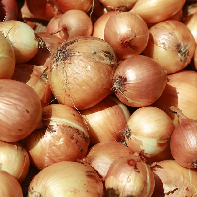 Detail Onion Images Nomer 42