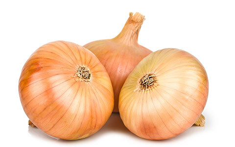 Detail Onion Images Nomer 6