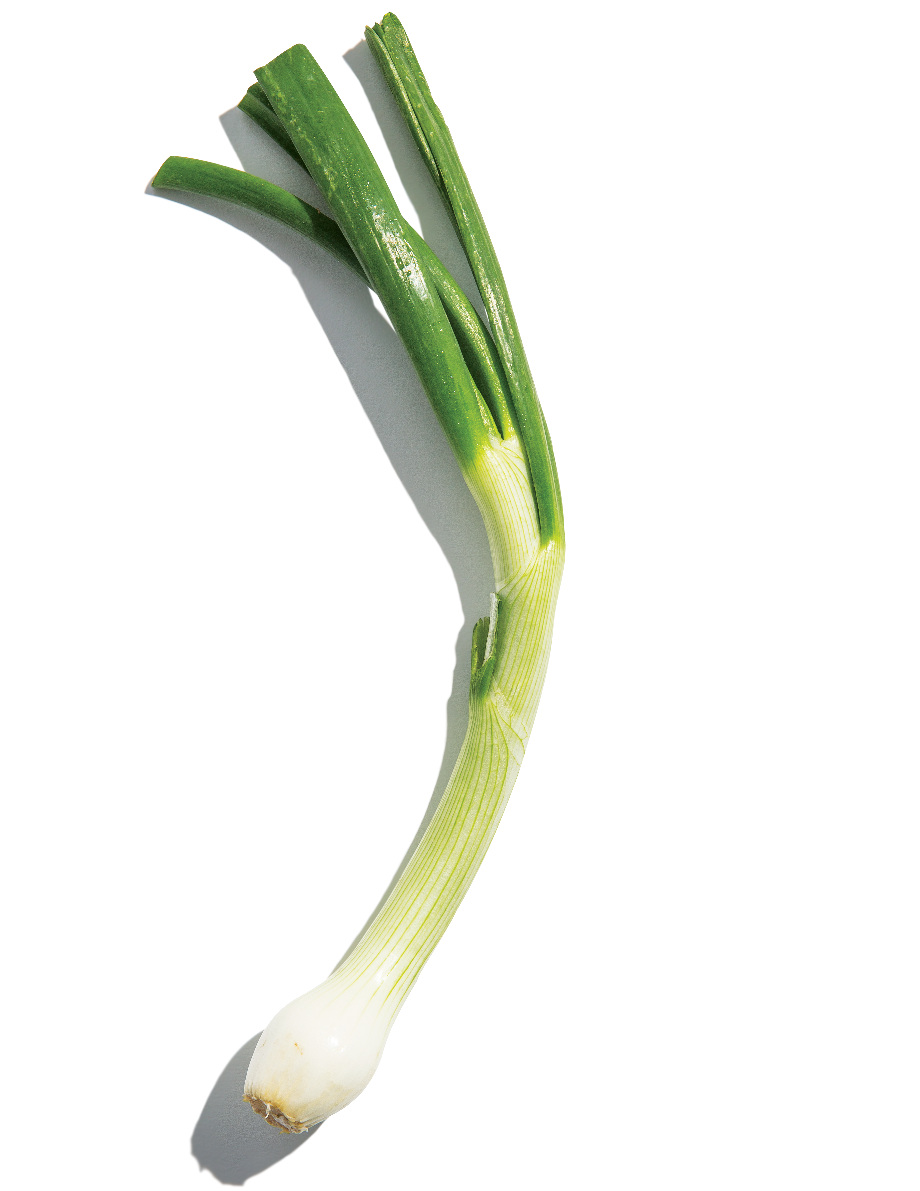Onion Leeks Image - KibrisPDR