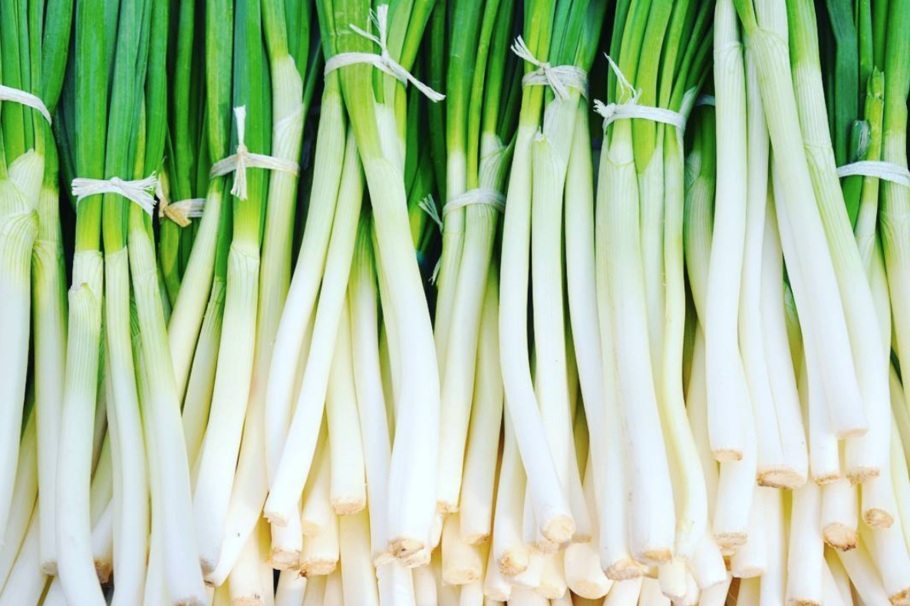 Detail Onion Leeks Image Nomer 8