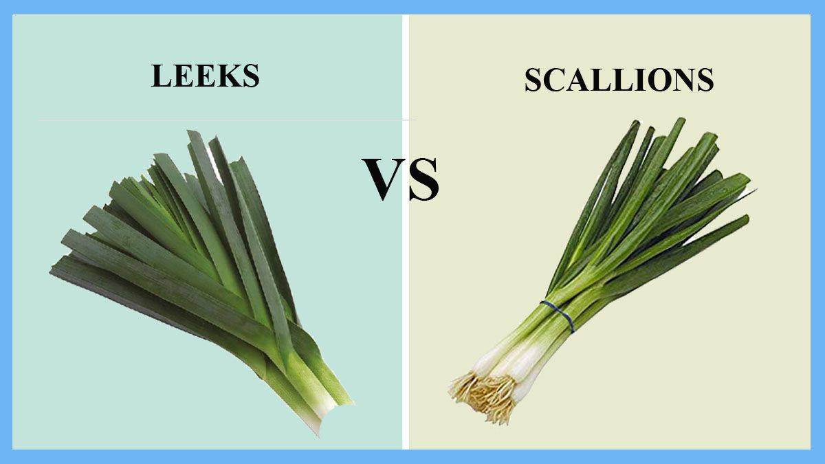 Detail Onion Leeks Image Nomer 12