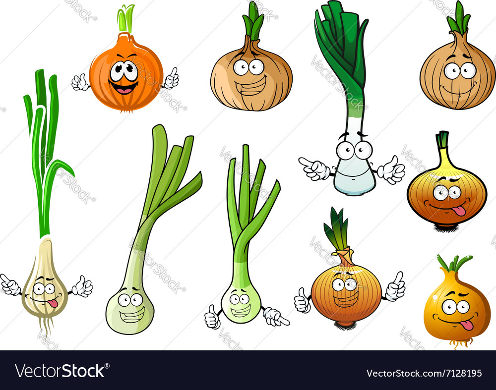 Detail Onion Leeks Image Nomer 15