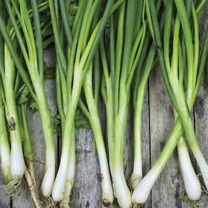 Detail Onion Leeks Image Nomer 17
