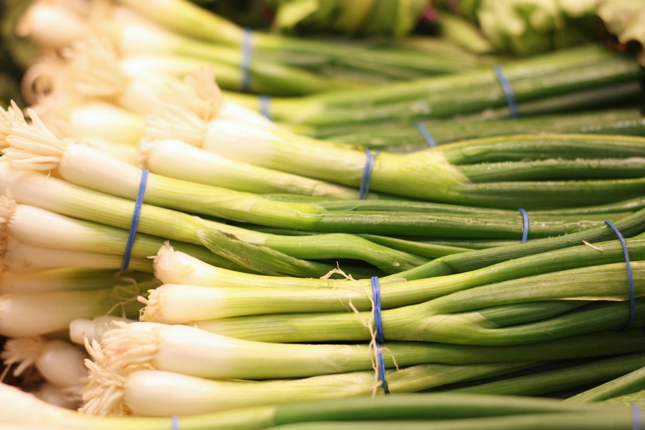 Detail Onion Leeks Image Nomer 18