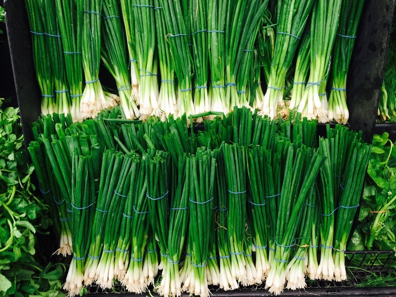 Detail Onion Leeks Image Nomer 23