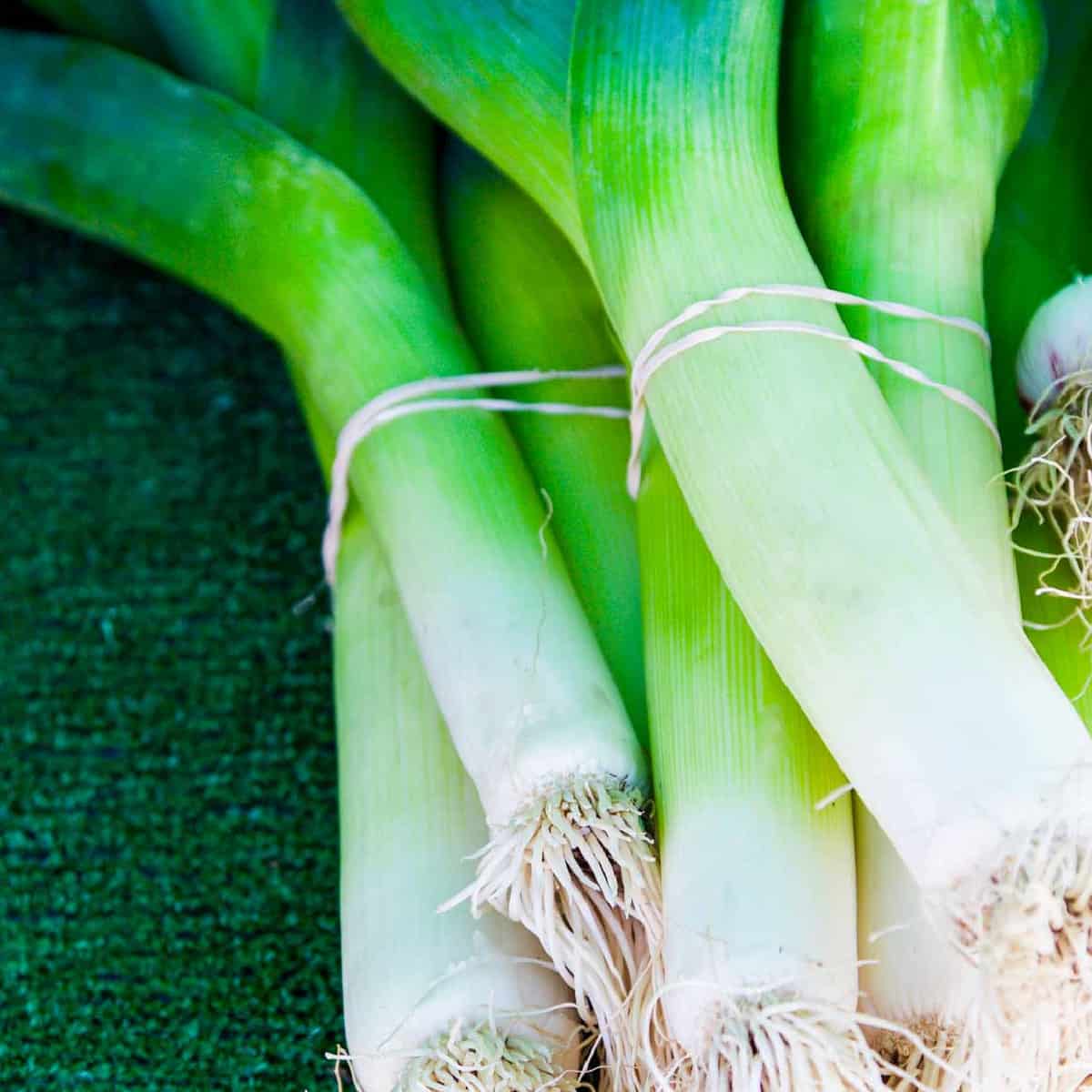 Detail Onion Leeks Image Nomer 24