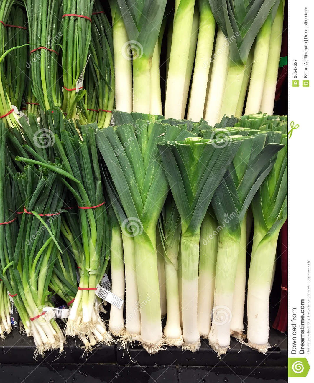 Detail Onion Leeks Image Nomer 25