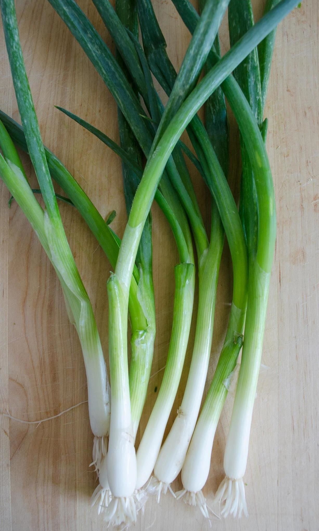 Detail Onion Leeks Image Nomer 26