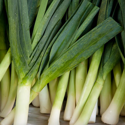 Detail Onion Leeks Image Nomer 30