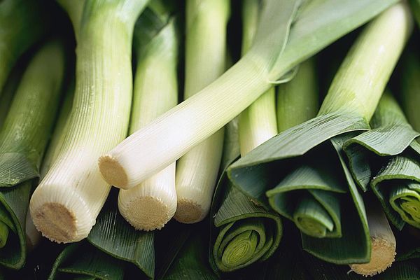Detail Onion Leeks Image Nomer 31