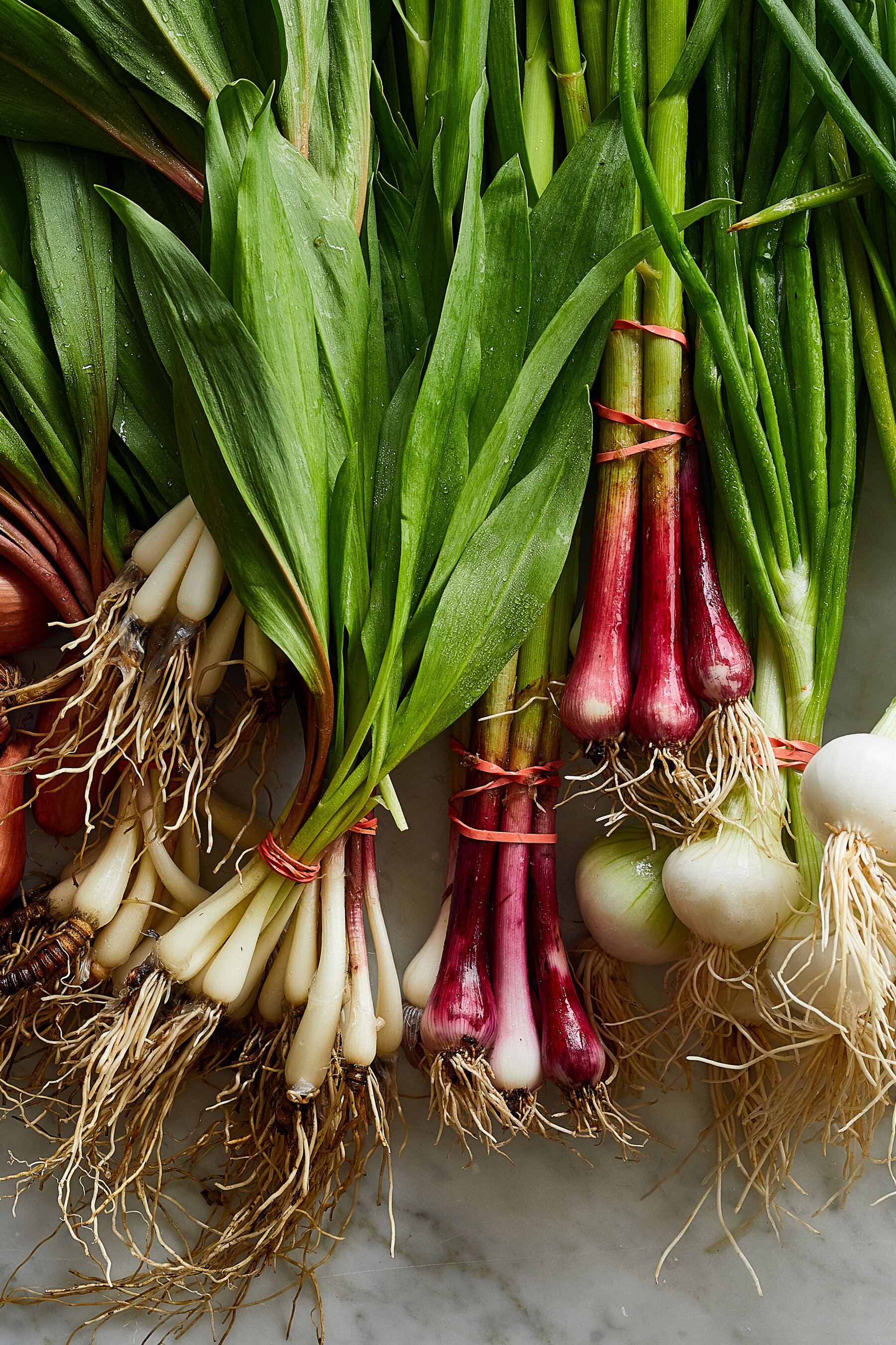 Detail Onion Leeks Image Nomer 32