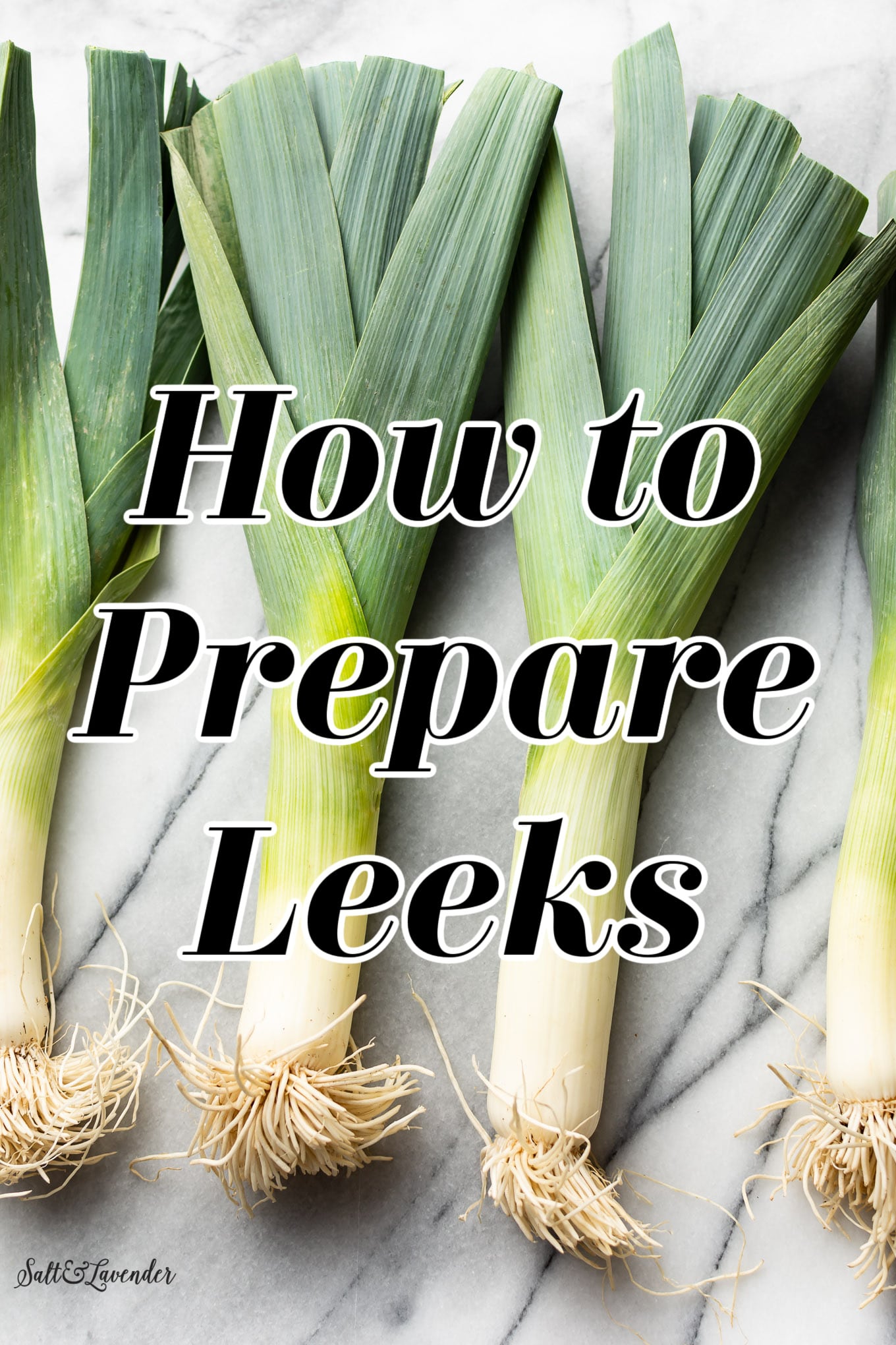 Detail Onion Leeks Image Nomer 3