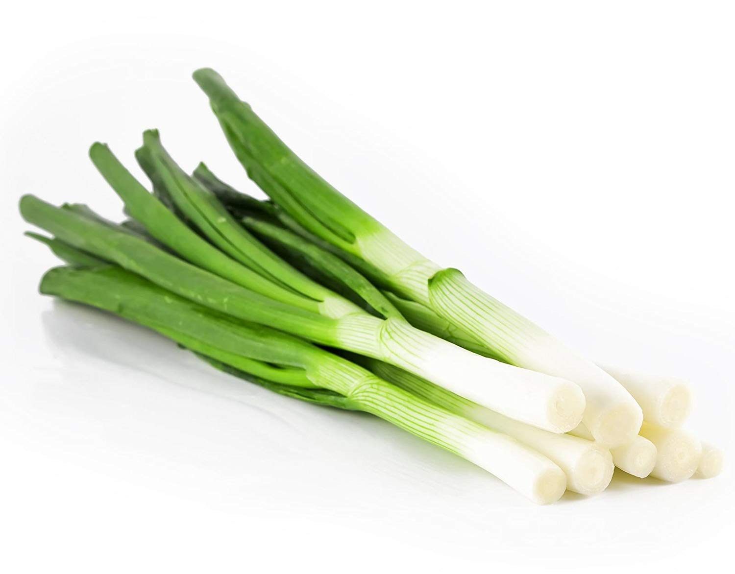 Detail Onion Leeks Image Nomer 35