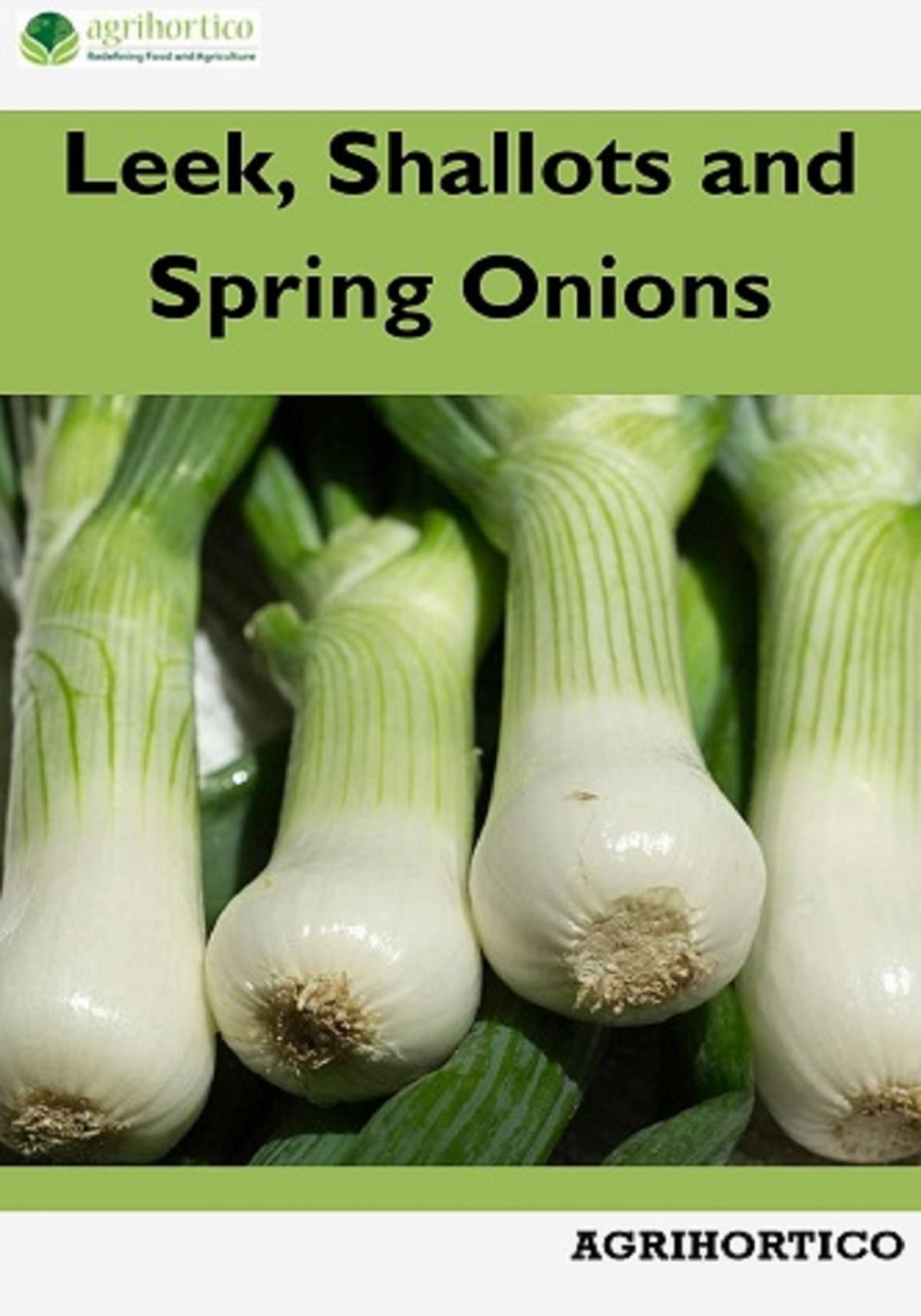 Detail Onion Leeks Image Nomer 38