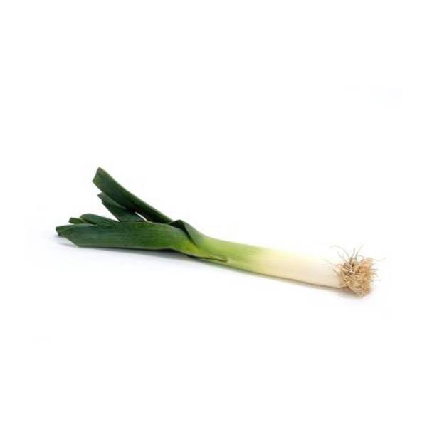 Detail Onion Leeks Image Nomer 43