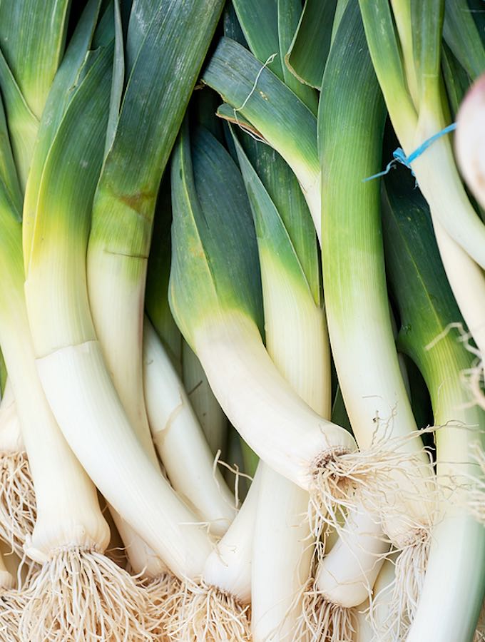 Detail Onion Leeks Image Nomer 49