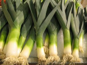 Detail Onion Leeks Image Nomer 51