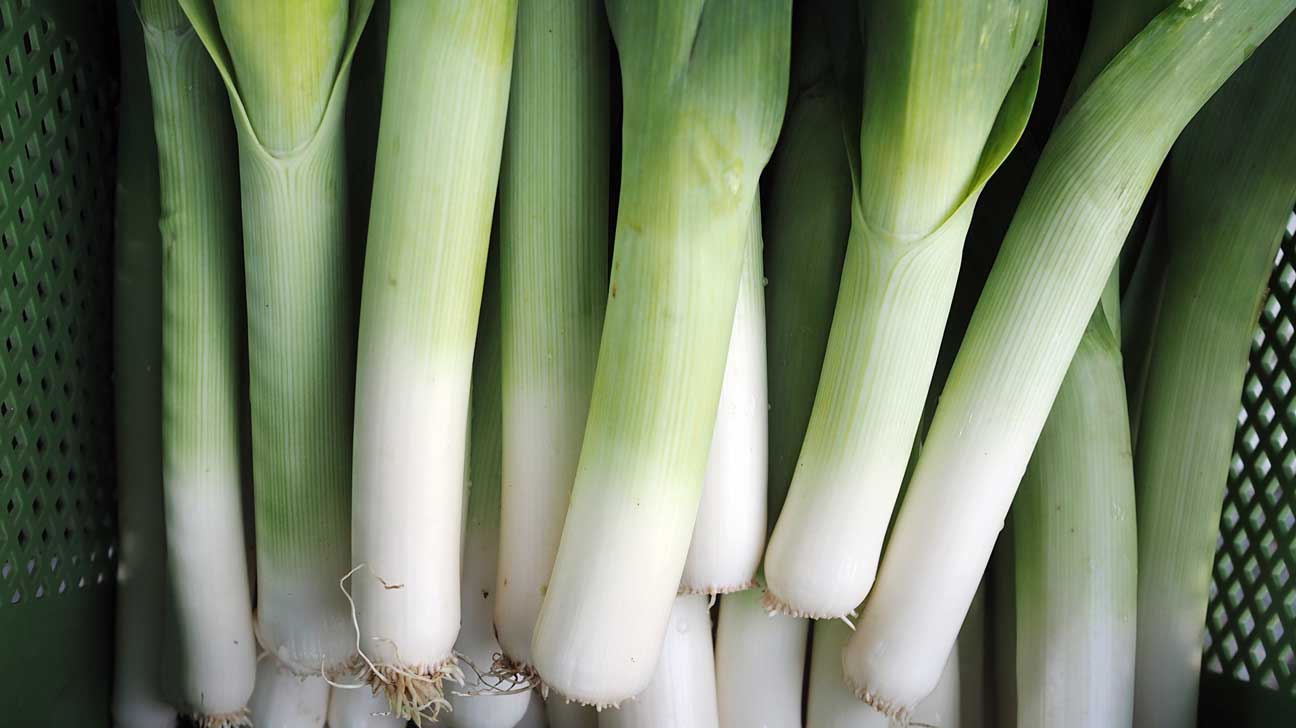 Detail Onion Leeks Image Nomer 52
