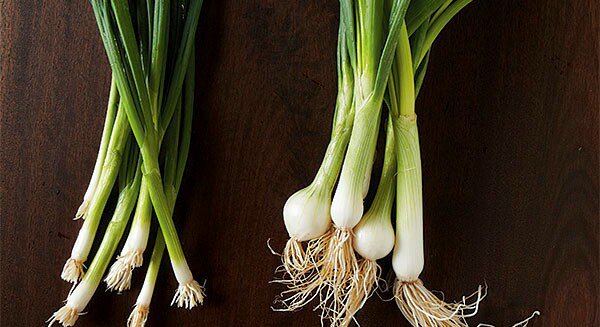 Detail Onion Leeks Image Nomer 6