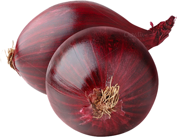 Detail Onion Png Nomer 18