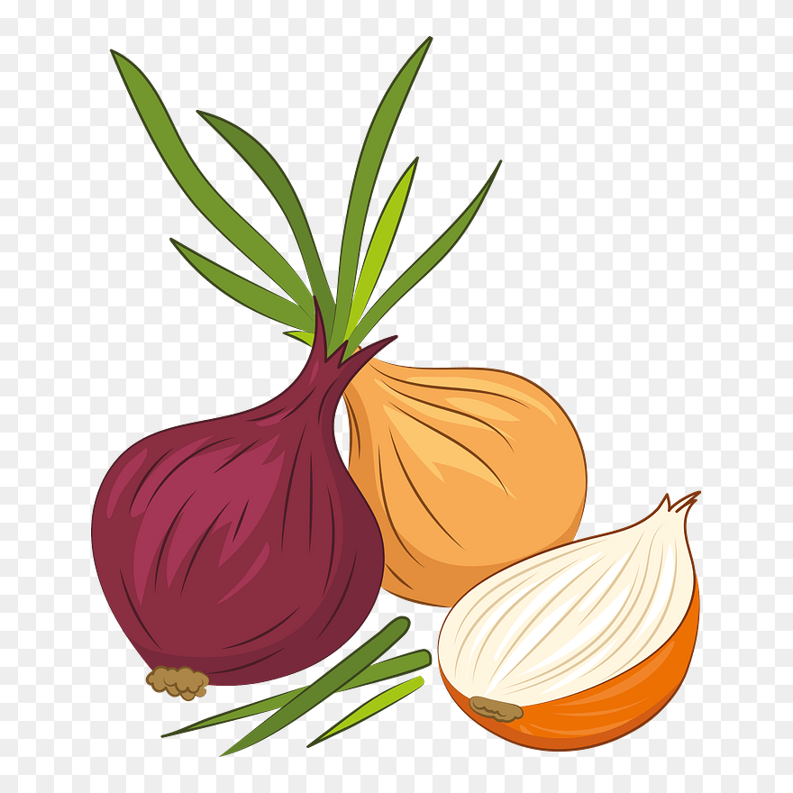 Detail Onion Png Nomer 30