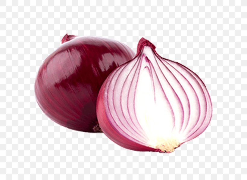 Detail Onion Png Nomer 34