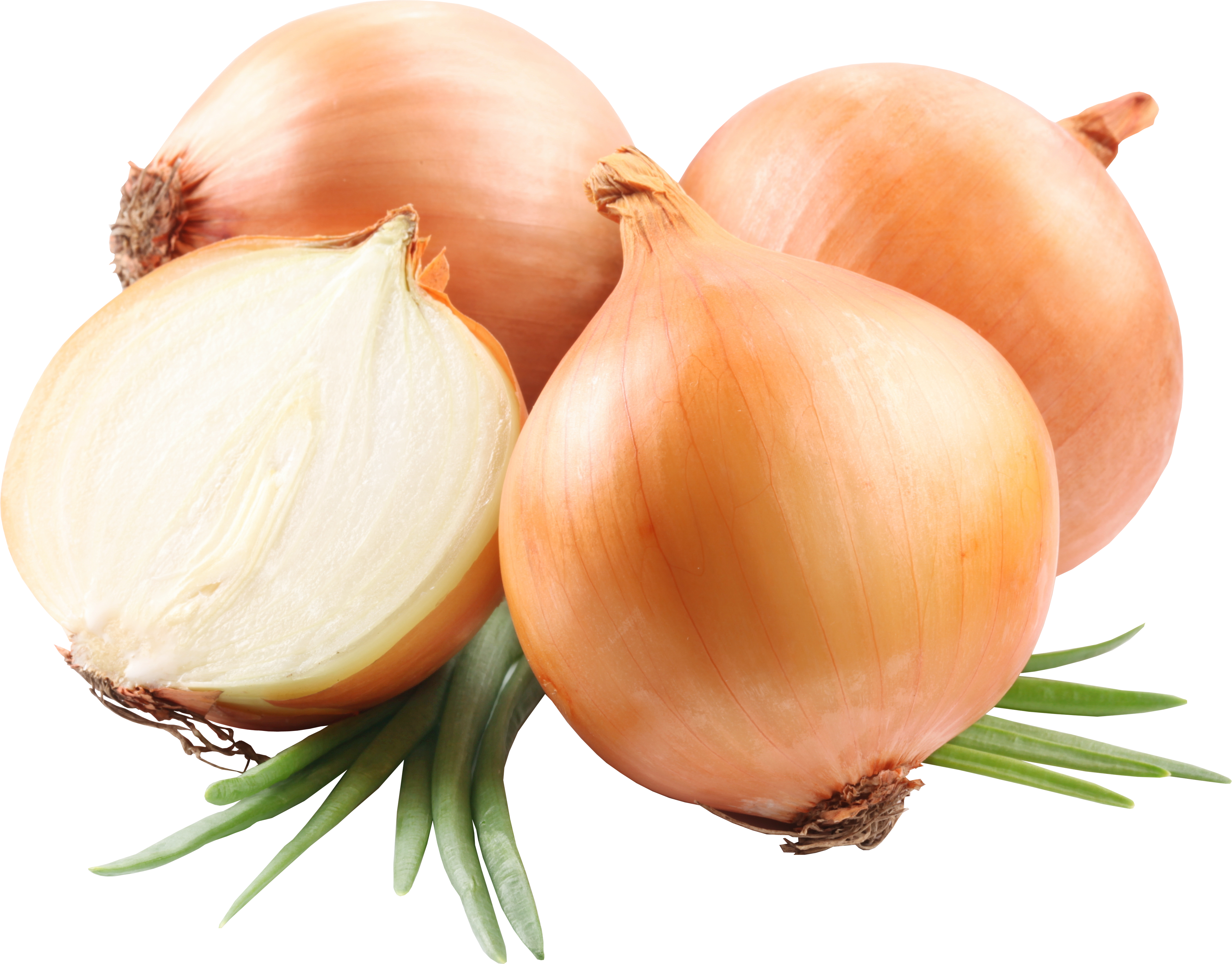 Detail Onion Png Nomer 5