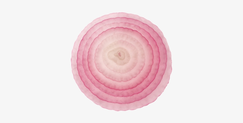 Detail Onion Slice Png Nomer 22