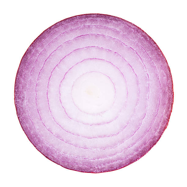 Detail Onion Slice Png Nomer 34