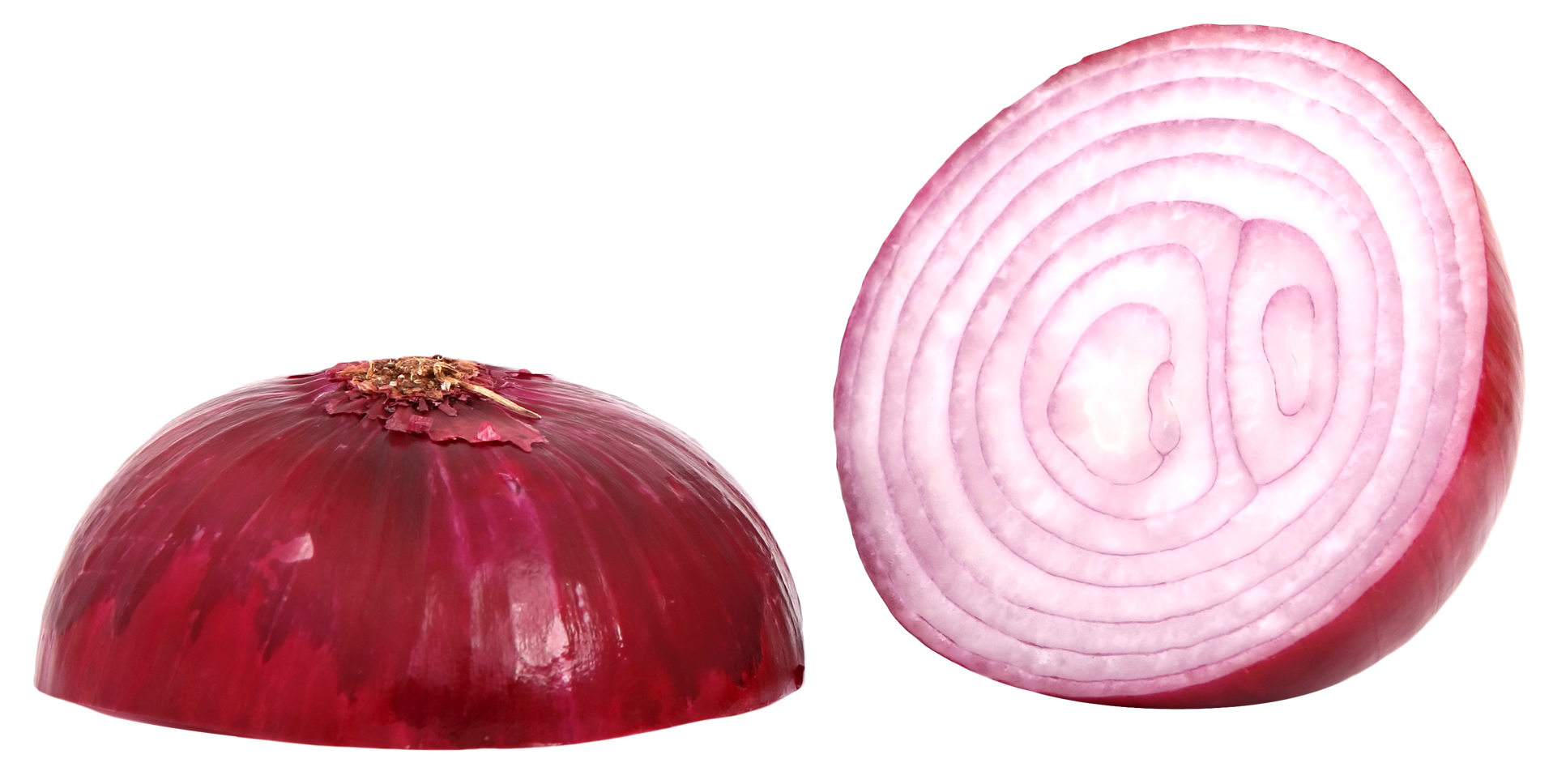 Detail Onion Slice Png Nomer 39